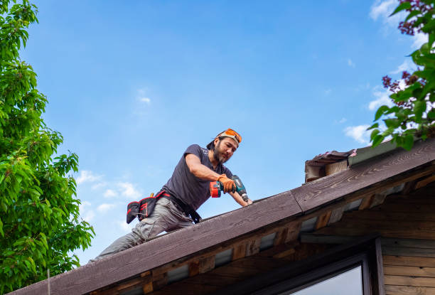 Best Skylight Installation and Repair  in Atwood, TN