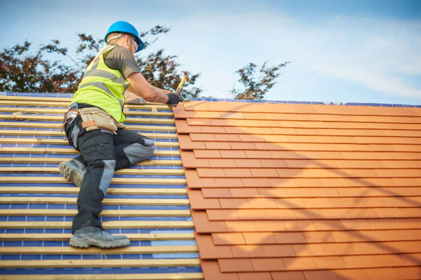 Best Asphalt Shingle Roofing  in Atwood, TN